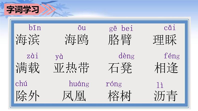 部编语文三上：19.海滨小城 精品PPT课件+素材07