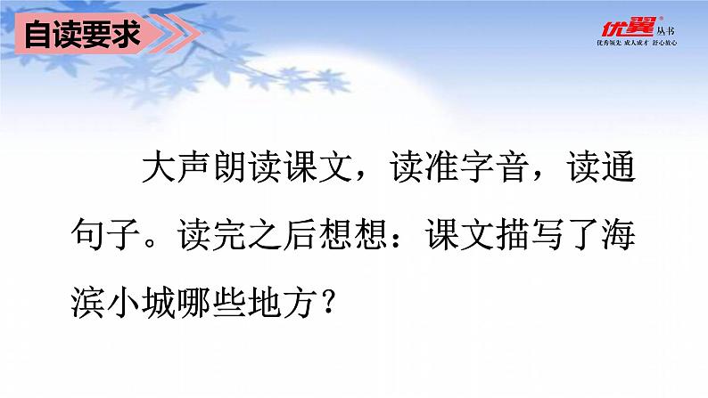 部编语文三上：19.海滨小城 精品PPT课件+素材06