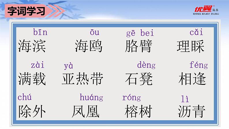 部编语文三上：19.海滨小城 精品PPT课件+素材07