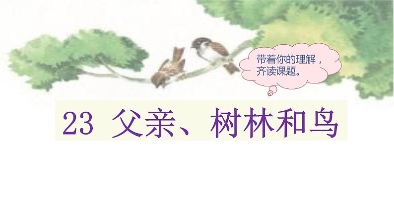 部编语文三上：23.父亲、树林和鸟 精品PPT课件+素材03