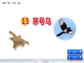 部编版二年级语文上册《寒号鸟》PPT优秀课件 (10)
