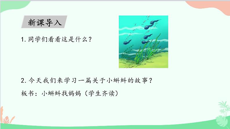 部编版二年级语文上册《小蝌蚪找妈妈》PPT优秀课件 (9)第2页