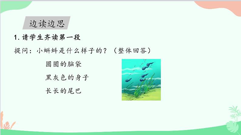 部编版二年级语文上册《小蝌蚪找妈妈》PPT优秀课件 (9)第4页