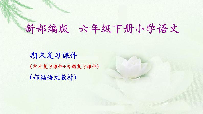 六年级语文下册《期末总复习》课件01