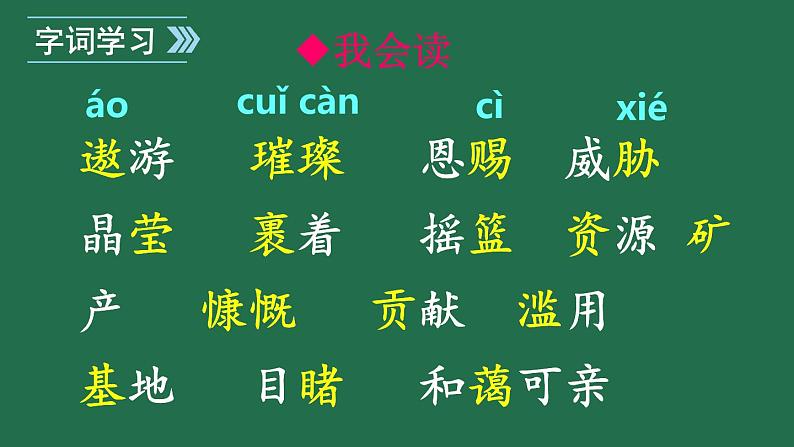 部编版六年级语文上册 第六单元 18 只有一个地球 课件PPT第3页