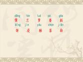 人教版五年级语文上册 《珍珠鸟》课件