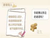 部编版语文五上：2.落花生 精品PPT课件+素材