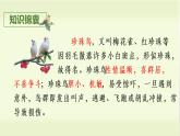 部编版语文五上：4.珍珠鸟 精品PPT课件+素材