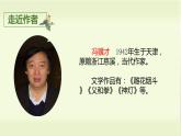 部编版语文五上：4.珍珠鸟 精品PPT课件+素材
