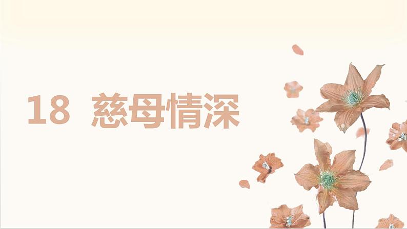 部编版语文五上：18.慈母情深 精品PPT课件+素材02