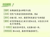 部编版语文五上：20.“精彩极了”和“糟糕透了” 精品PPT课件+素材