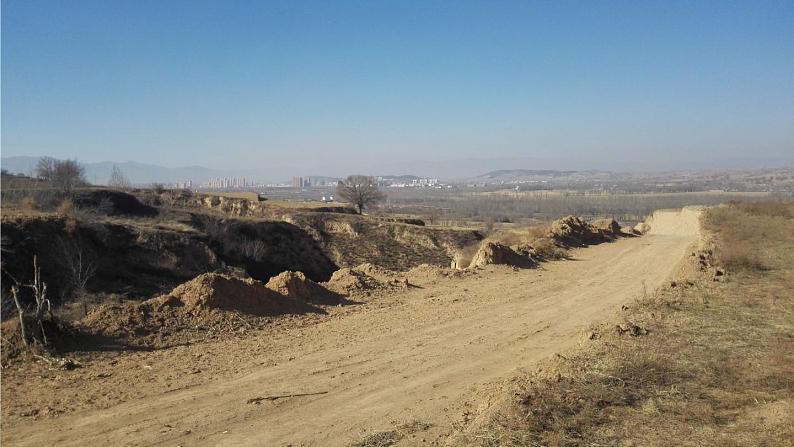 19.青山不老第3页