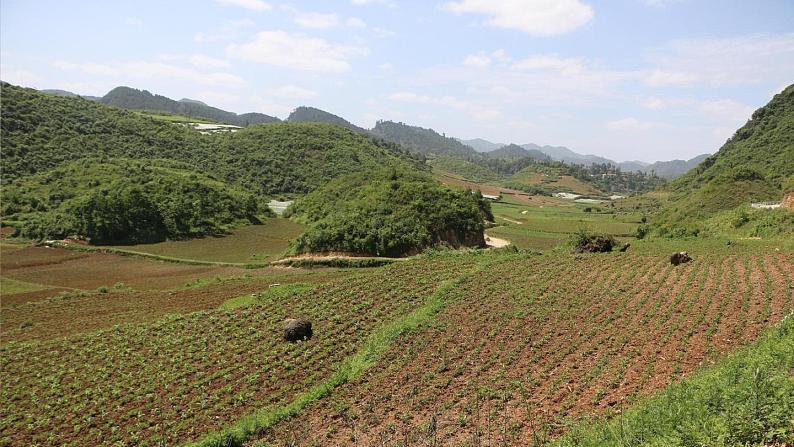 20.三黑和土地第2页