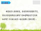 部编版语文二年级上册《树之歌》PPT精品课件 (1)