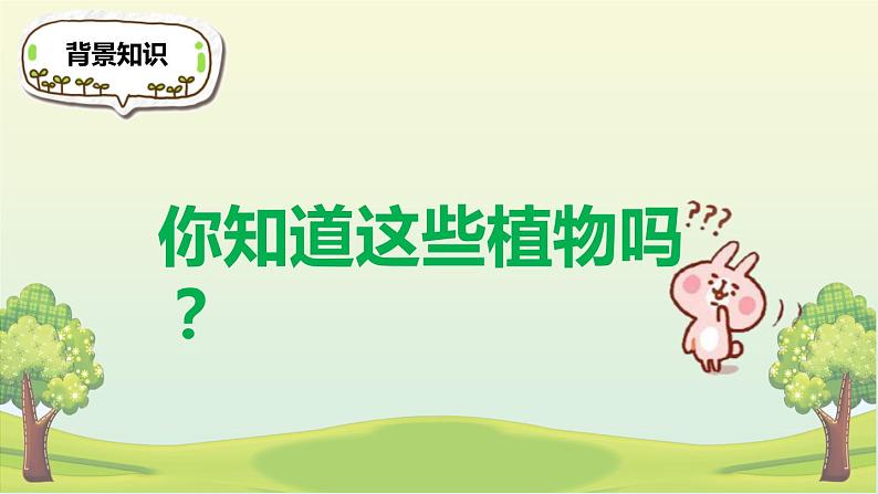 部编版二年级语文上册《植物妈妈有办法》PPT教学课件 (4)04