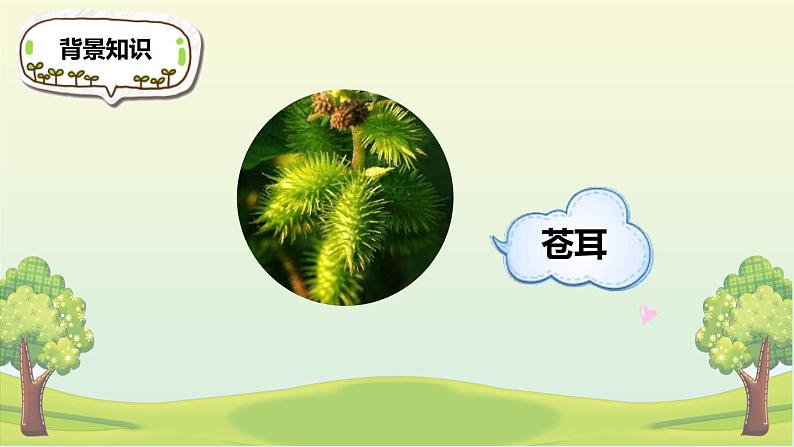 部编版二年级语文上册《植物妈妈有办法》PPT教学课件 (4)06