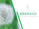 部编版二年级语文上册《植物妈妈有办法》PPT教学课件 (14)