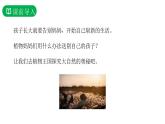部编版二年级语文上册《植物妈妈有办法》PPT教学课件 (14)