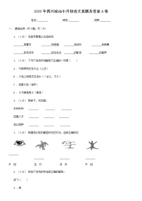 2020年四川凉山小升初语文真题及答案A卷