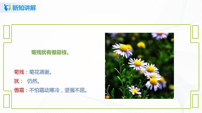 部编版语文三上4.《古诗三首》（含课件、教案、同步练习）07