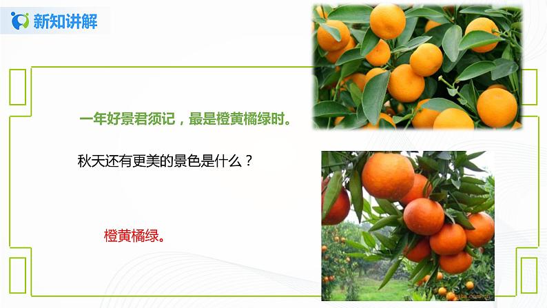 部编版语文三上4.《古诗三首》（含课件、教案、同步练习）08