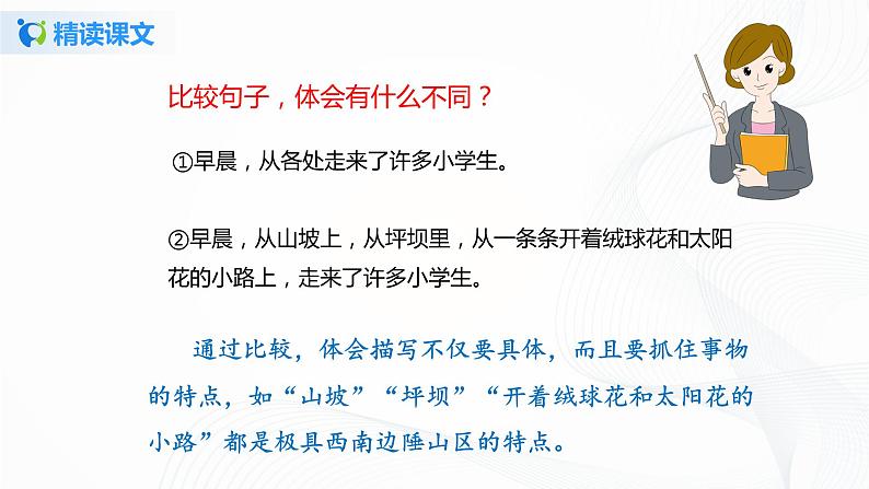 部编版语文三上1 .《大青树下的小学》（含课件、教案、同步练习）07