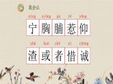 人教部编版三年级上册语文第八单元《灰雀》课件