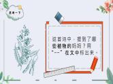 部编版二上语文《植物妈妈有办法》PPT课件PPT