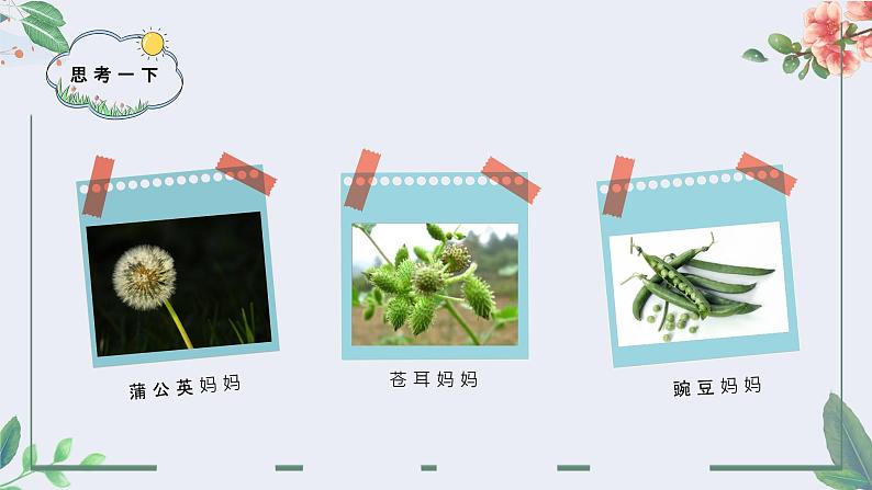 部编版二上语文《植物妈妈有办法》PPT课件PPT第3页