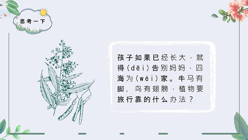 部编版二上语文《植物妈妈有办法》PPT课件PPT第4页