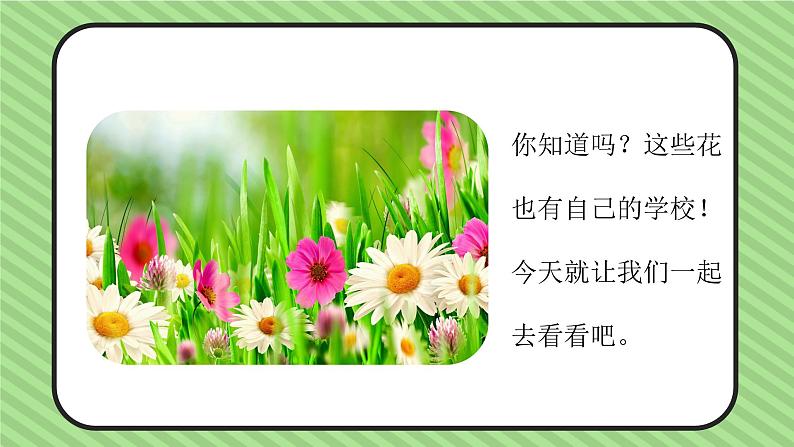 三上语文《花的学校》PPT课件06