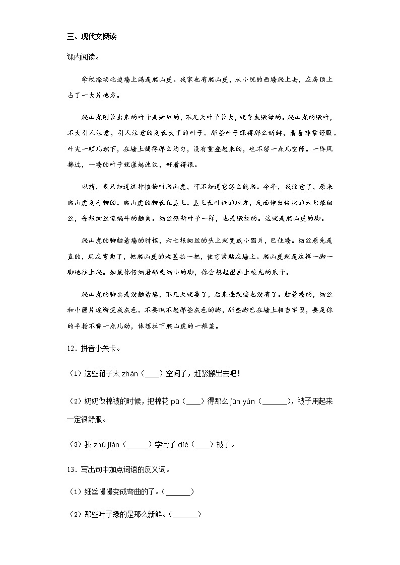 暑假提前学——部编版四年级上（每日一练）爬山虎的脚第3页