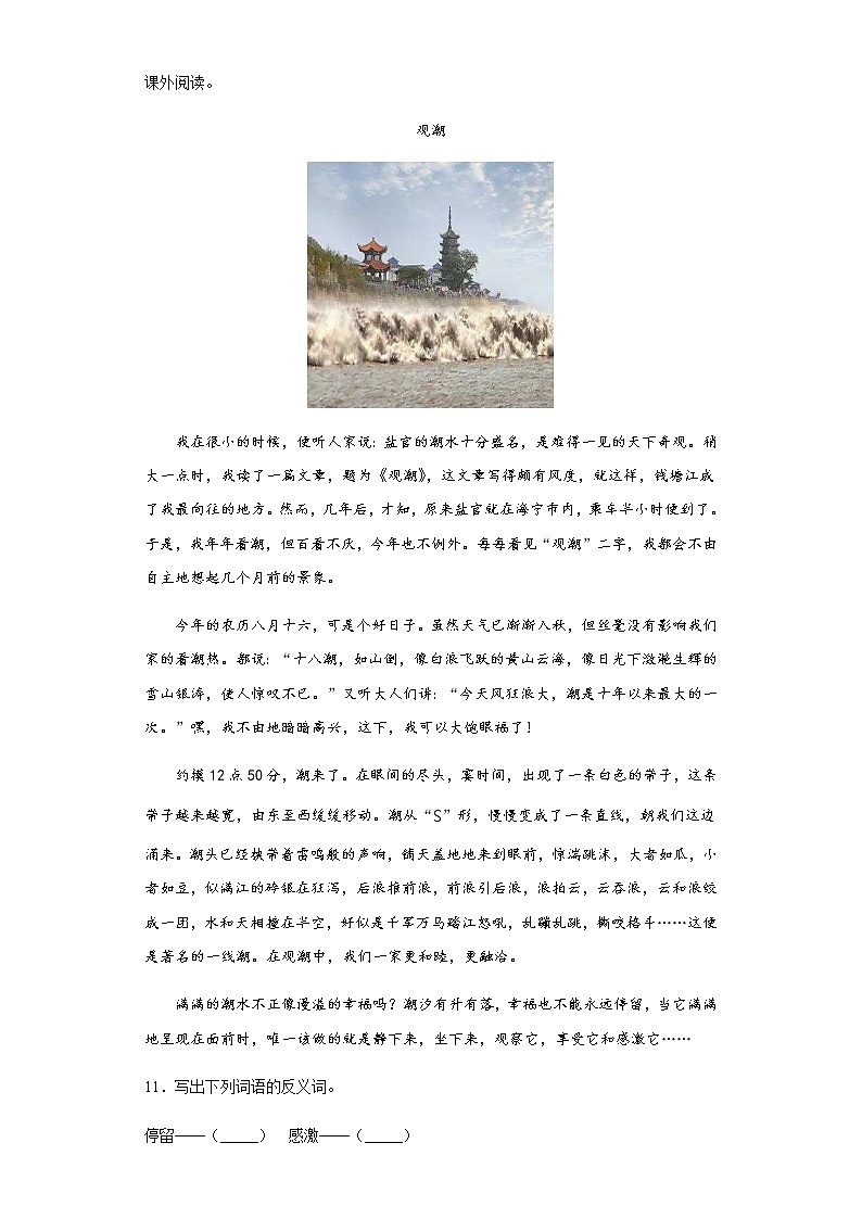 暑假提前学——部编版四年级上（每日一练）观潮第3页