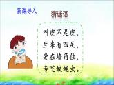 部编版一年级语文下册21 《小壁虎借尾巴》精品课件