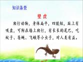 部编版一年级语文下册21 《小壁虎借尾巴》精品课件
