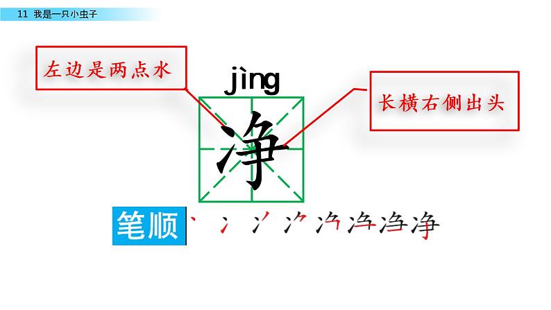 部编版二年级语文下册 11 我是一只小虫子课件PPT第7页