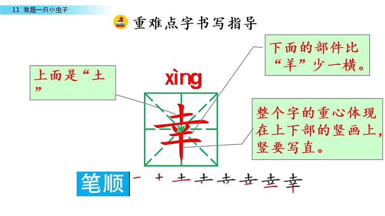 部编版二年级语文下册 11 我是一只小虫子课件PPT第8页