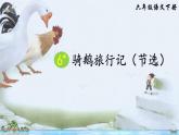 6 骑鹅旅行记（节选）ppt（部编版）课件