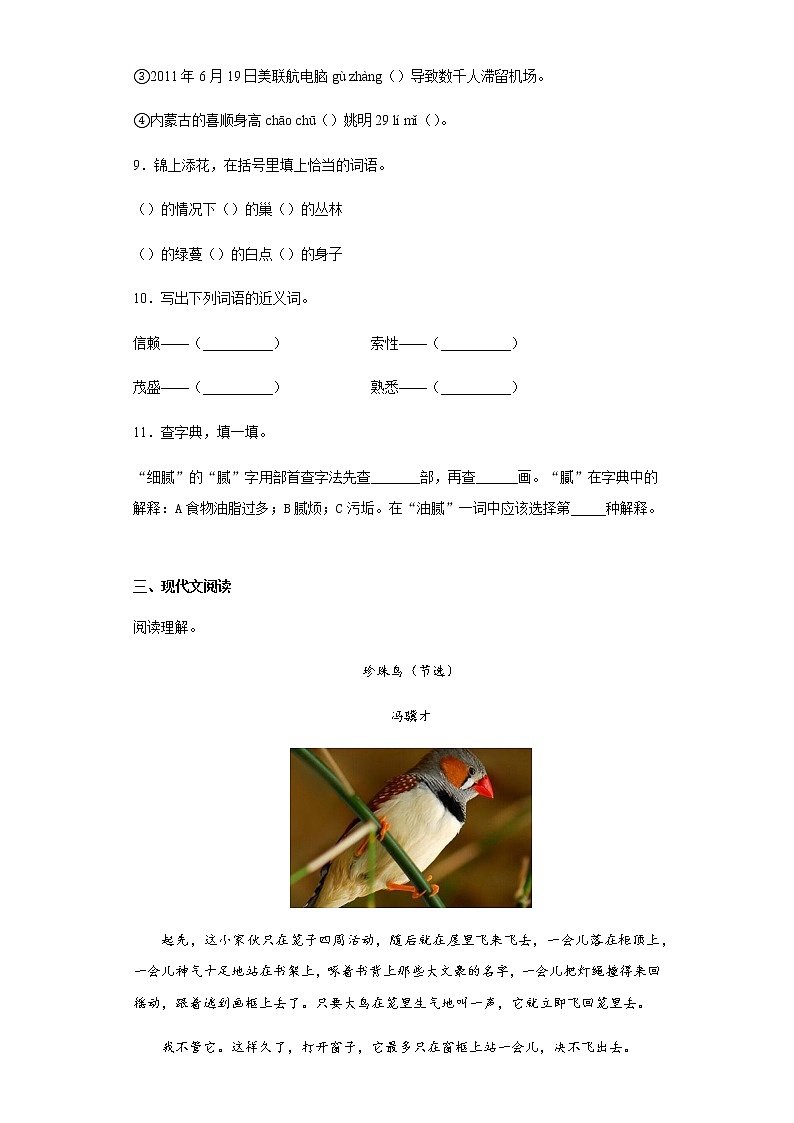 暑假提前学——部编版五年级上（每日一练）珍珠鸟03