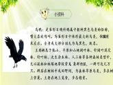 部编版语文一年级上册-课文4- 13《乌鸦喝水》课件
