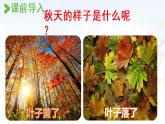部编版语文一年级上册-课文1- 1秋天 课件
