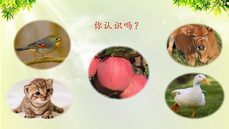 部编版语文一年级上册-识字-7《大小多少》课件03