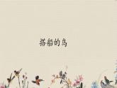 人教部编版三年级上册语文第五单元《搭船的鸟》课件