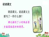 部编版语文五年级上册 3《桂花雨》PPT课件+素材