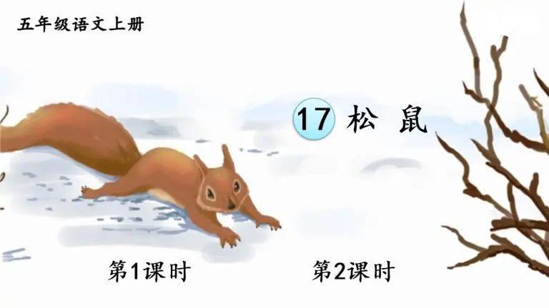 人教部编版五年级上册17 松鼠说课ppt课件 教习网 课件下载