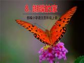 部编版语文四年级上册 8.《蝴蝶的家》PPT课件