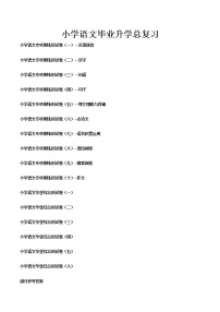 小学语文毕业总复习试卷(16套-Word版-部分含答案)