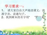 二年级语文上册教学课件-2.树之歌20-部编版(共15张PPT)