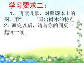 二年级语文上册教学课件-2.树之歌20-部编版(共15张PPT)