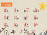 人教部编版三年级上册语文第三单元《那一定会很好》课件